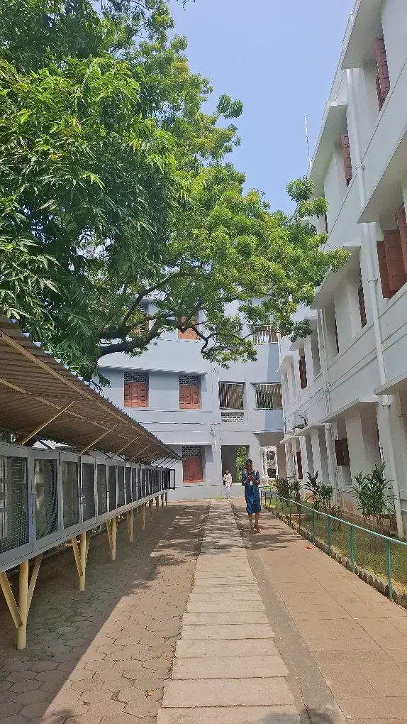 Stella Maris College Chennai Campus photo 3